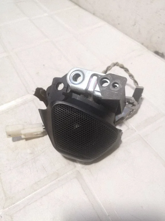 Front door high frequency speaker – front left