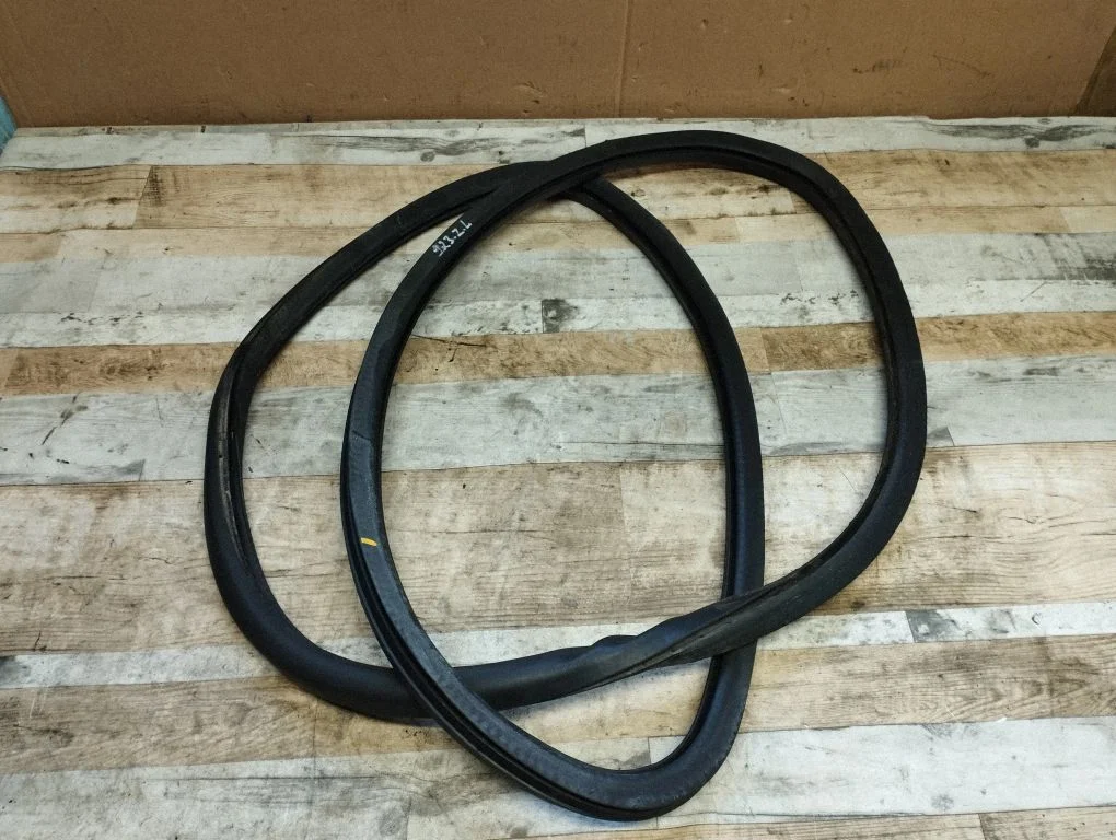 Rubber seal rear door – Volkswagen Passat CC (2008-2016)