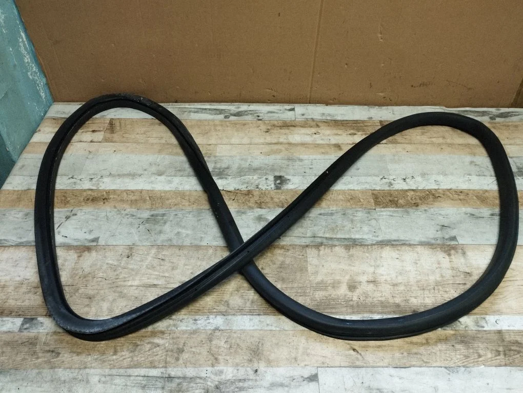 Rubber seal rear door – Volkswagen Passat CC (2008-2016)