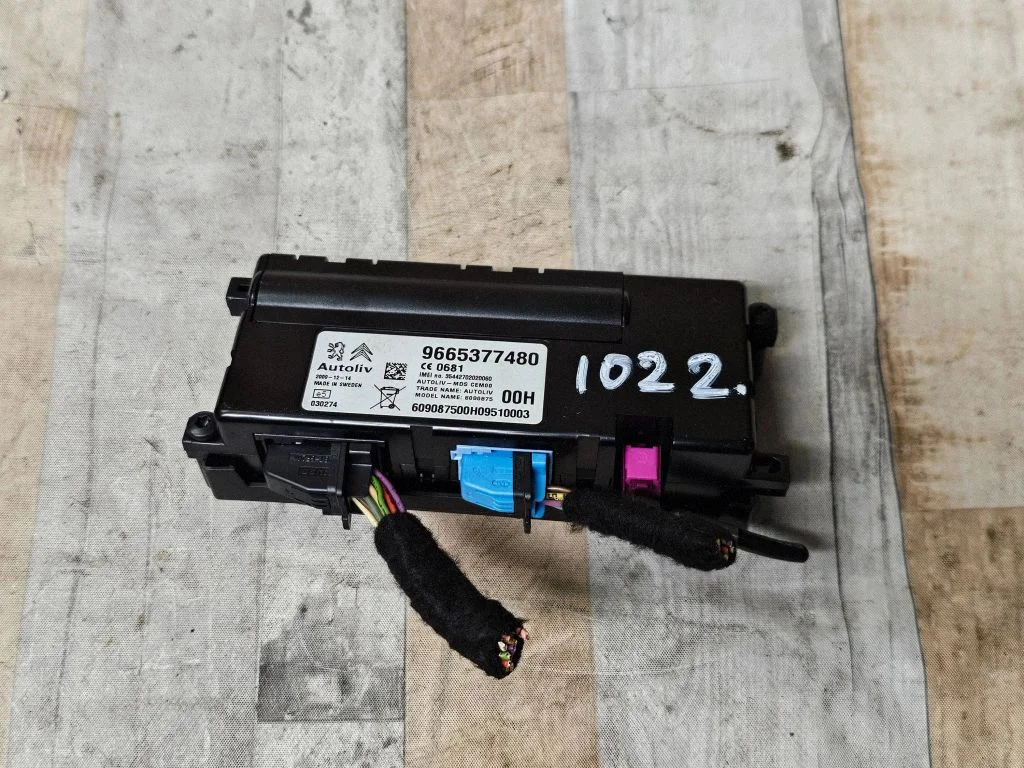 Bluetoothi moodul – Citroen C5 (2008-2016)