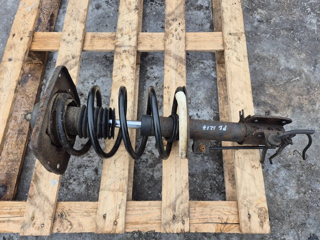 Front shock absorber with coil spring – front left
