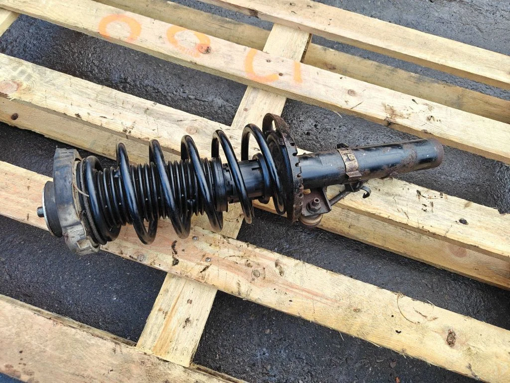 Front shock absorber with coil spring – front left