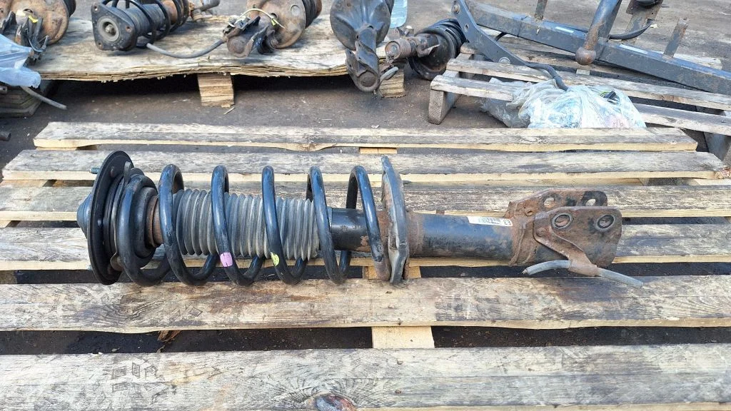 Front shock absorber with coil spring – front left