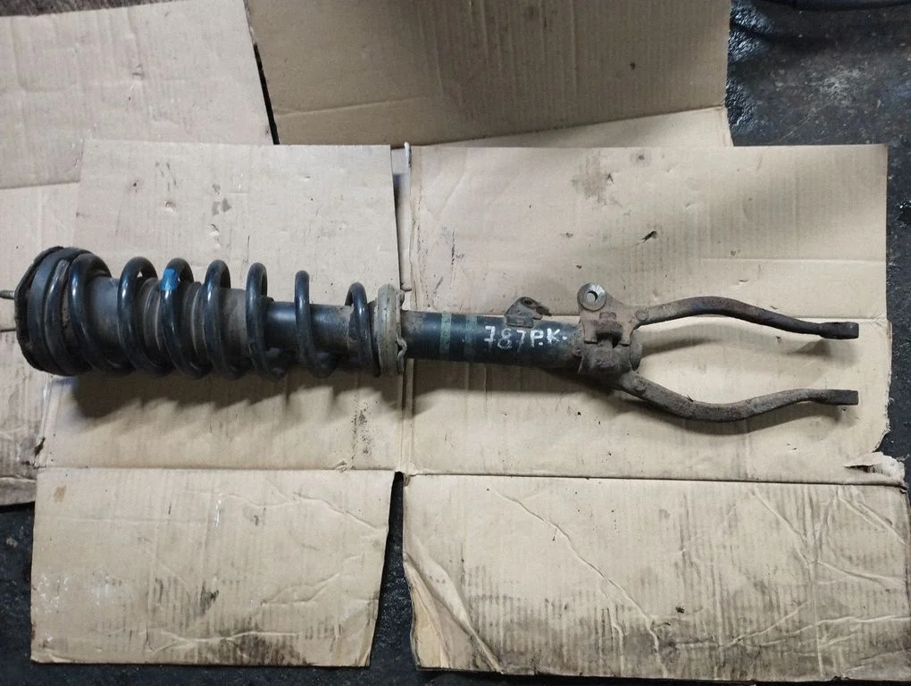 Front shock absorber with coil spring – front left