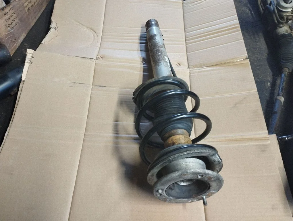 Front shock absorber with coil spring R024463G