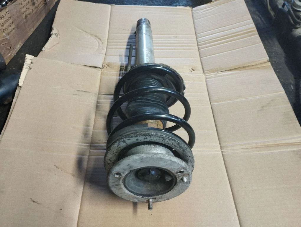Front shock absorber with coil spring R024462G
