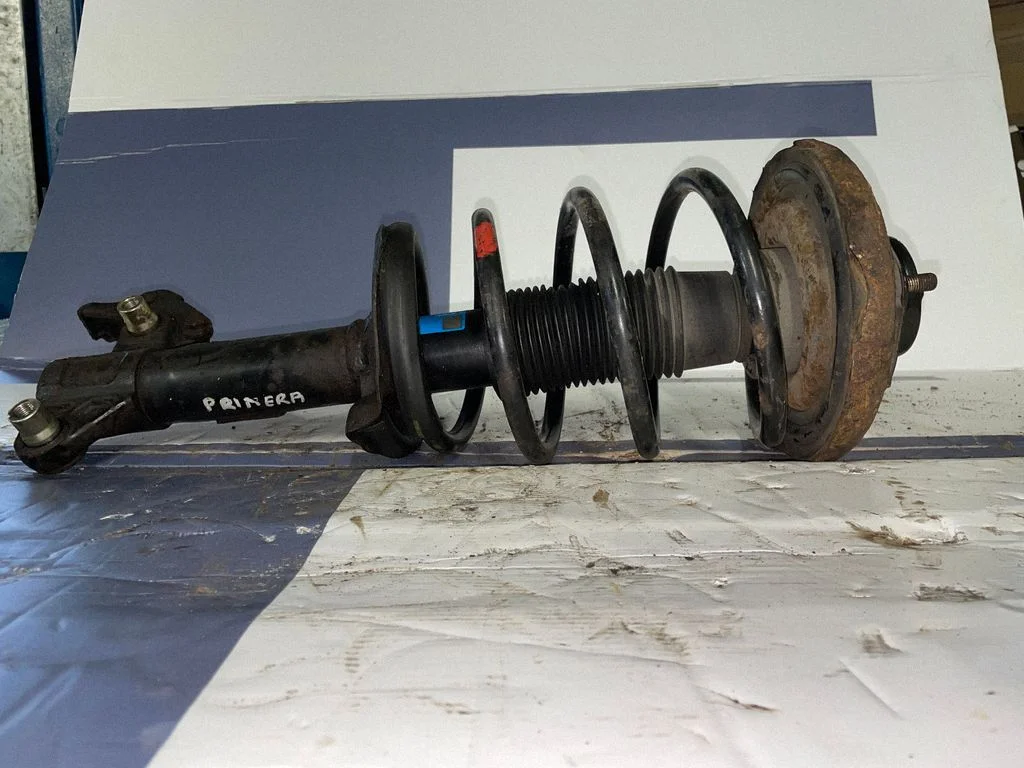 Front shock absorber with coil spring – front left