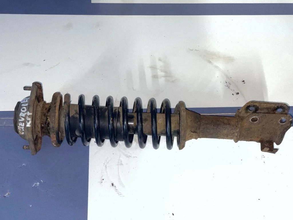 Front shock absorber with coil spring – front left