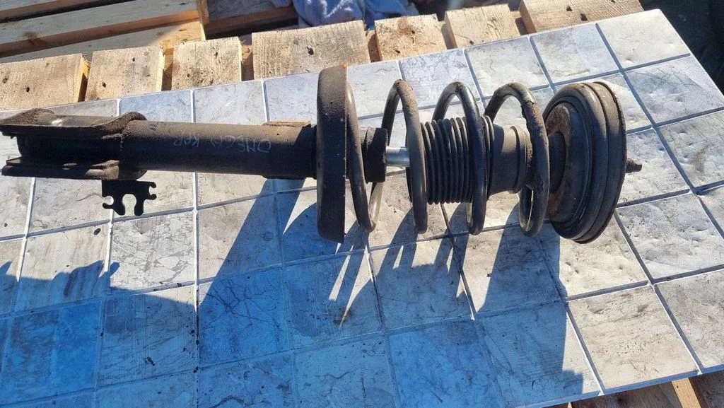 Front shock absorber with coil spring 22184706