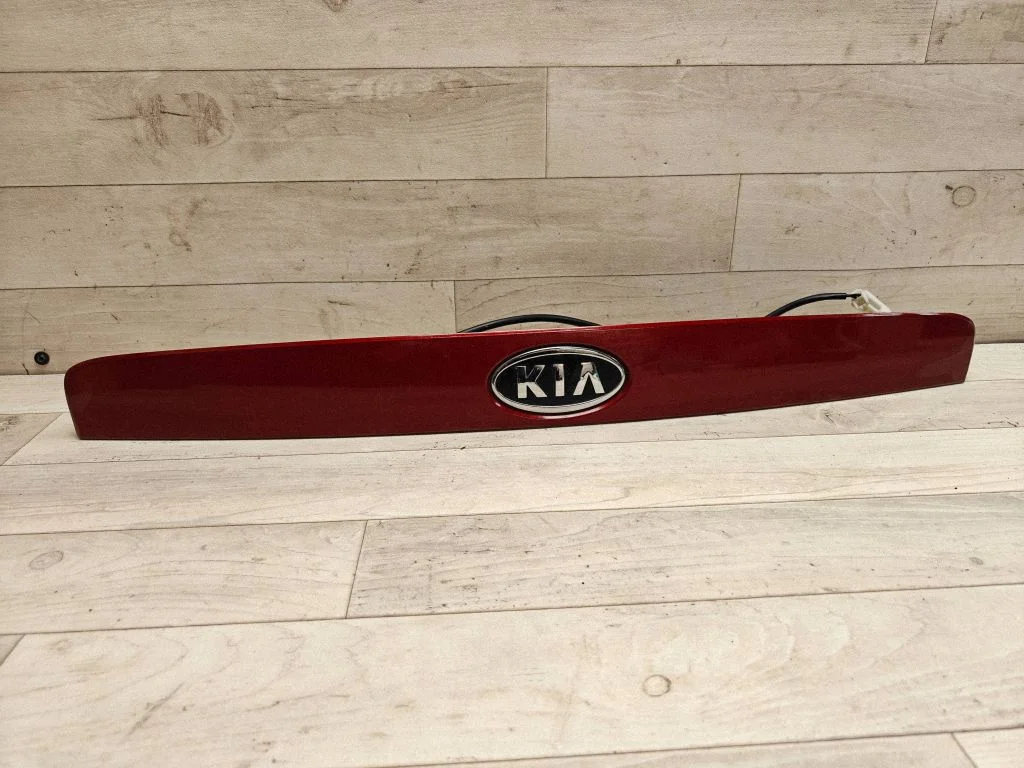 Trunk door license plate light bar