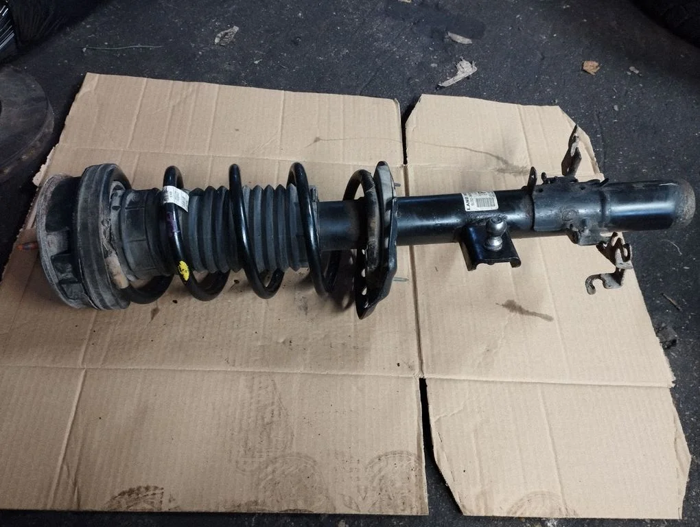 Rear shock absorber with coil spring – Land Rover Evoque I (2011-2018)