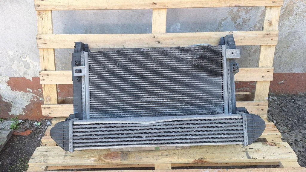 Radiator set A1695000354