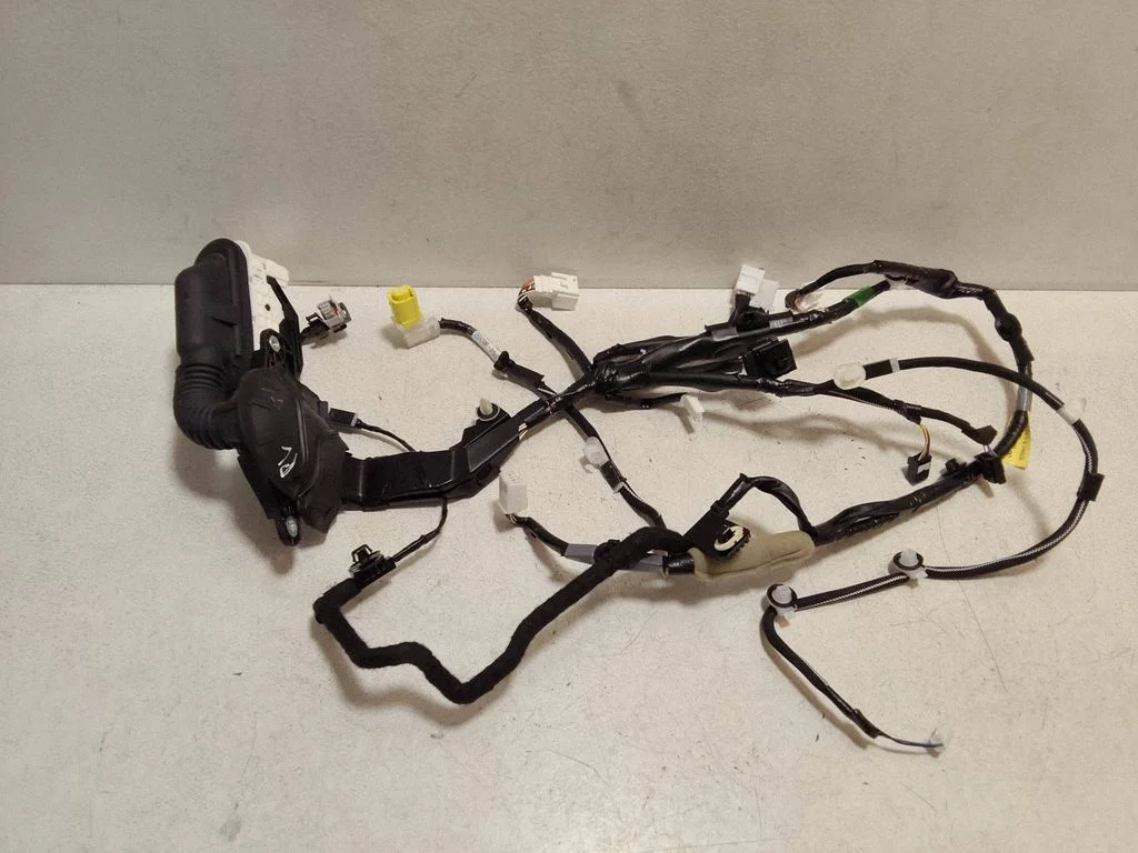 Front door wiring loom 8215233M60