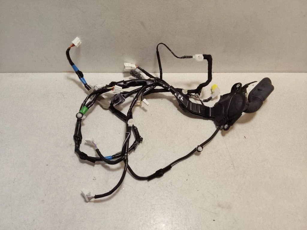Front door wiring loom 8215133M20