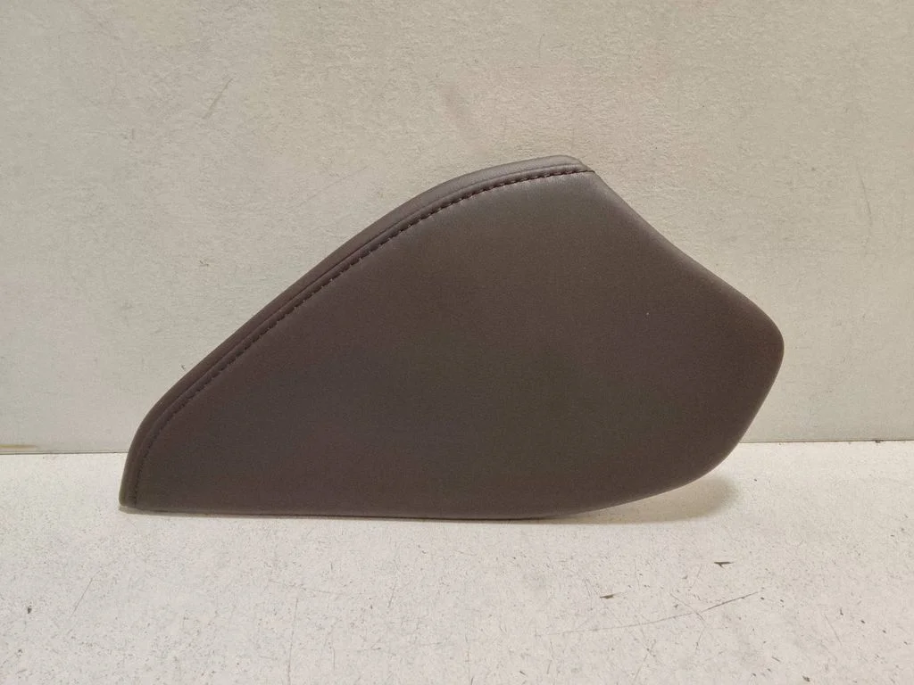 Panel trim 5543533130