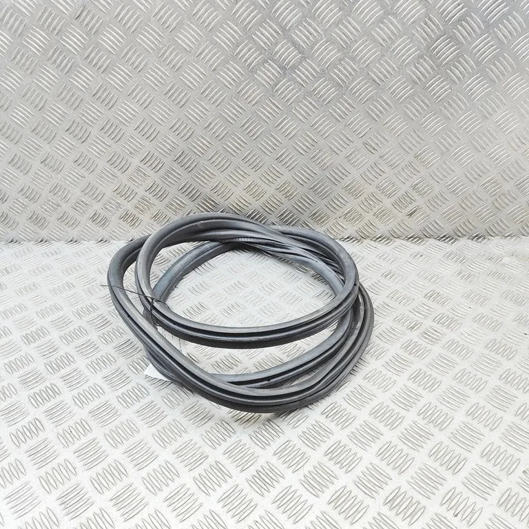 Rubber seal rear door 7393449