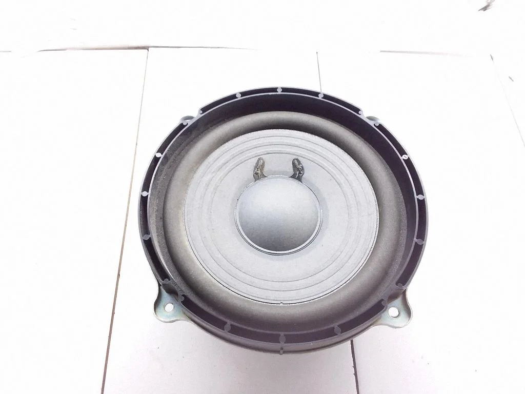 Front door speaker TS08534ZH
