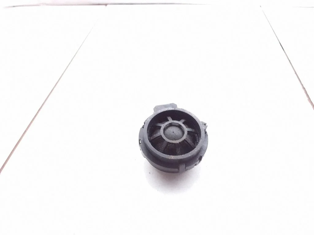 Front door speaker TS07534ZH