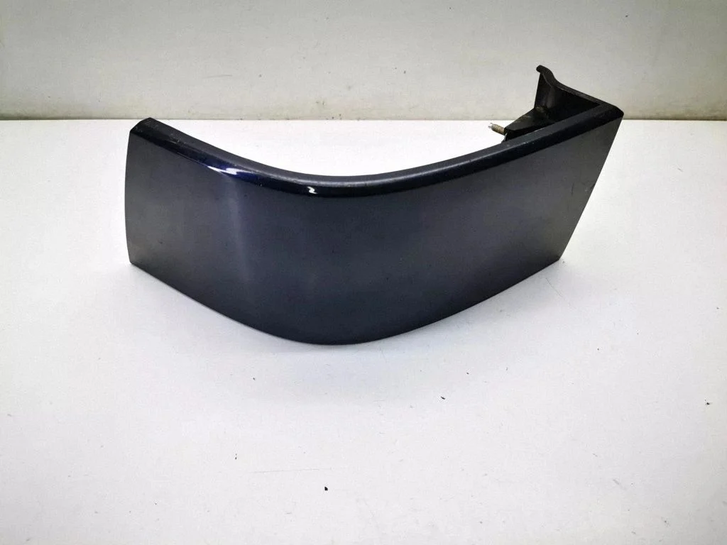 Rear/tail light trim molding 4593455