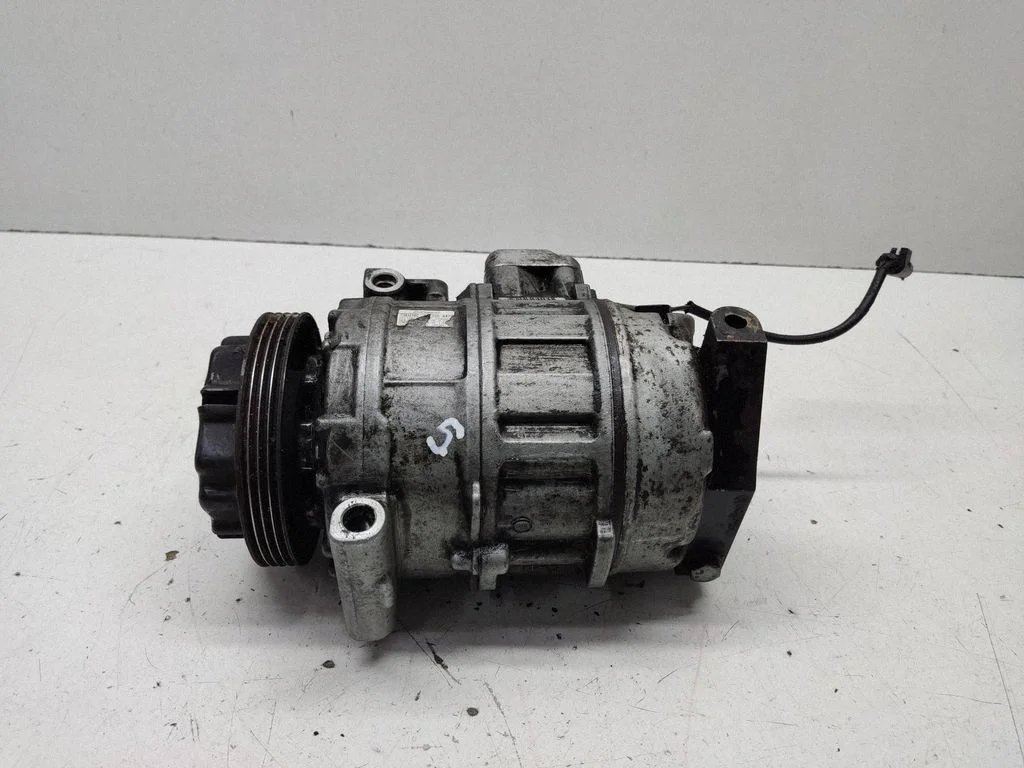 Kliimakompressor (pump) 6901781