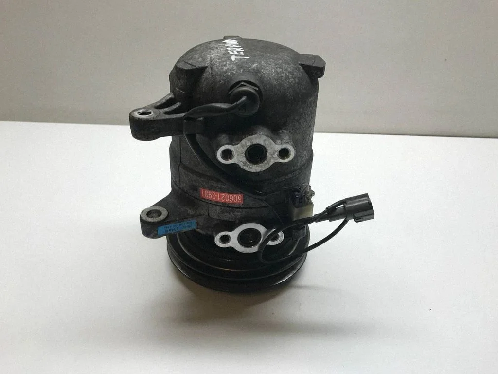Kliimakompressor (pump) 506021-3931
