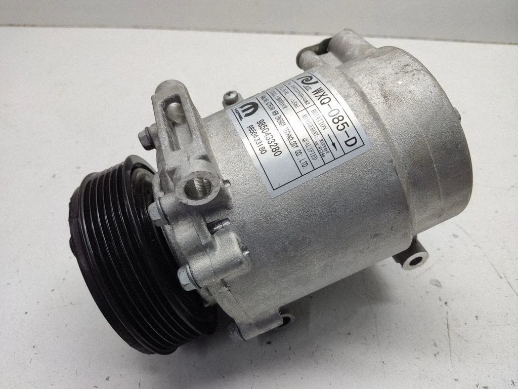 Kliimakompressor (pump) 9850433280