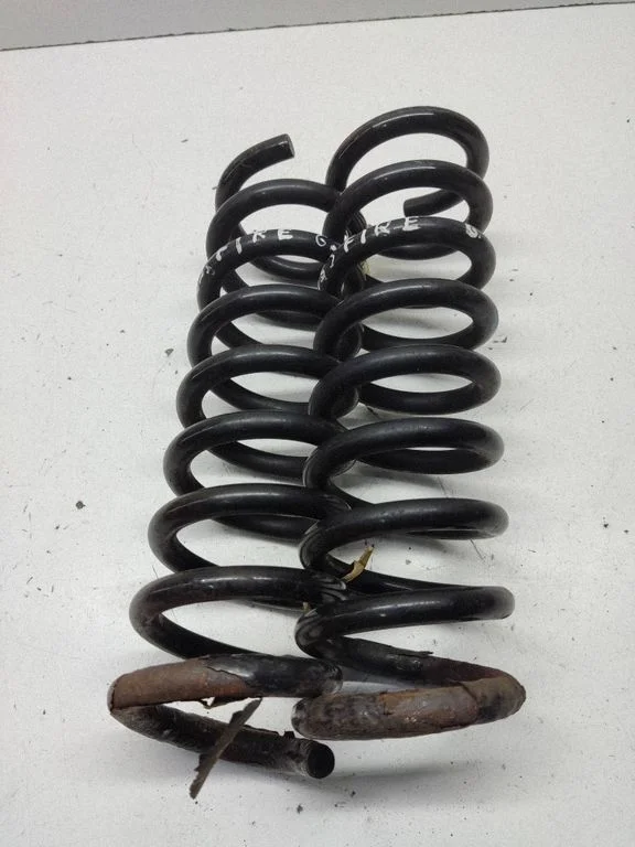 Rear coil spring