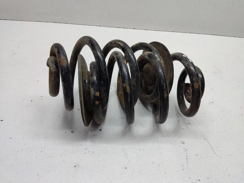 Rear coil spring 1094518