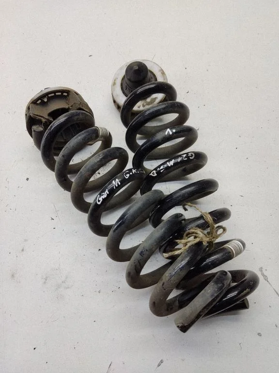 Rear coil spring