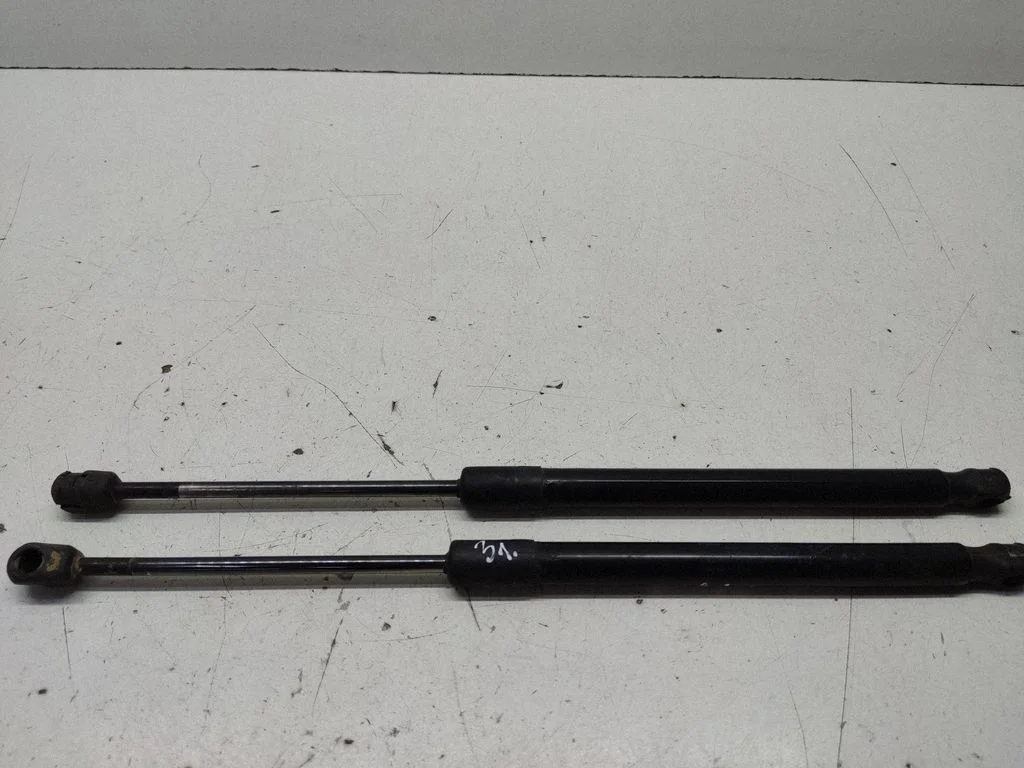 Tailgate/trunk strut/damper 904510001R