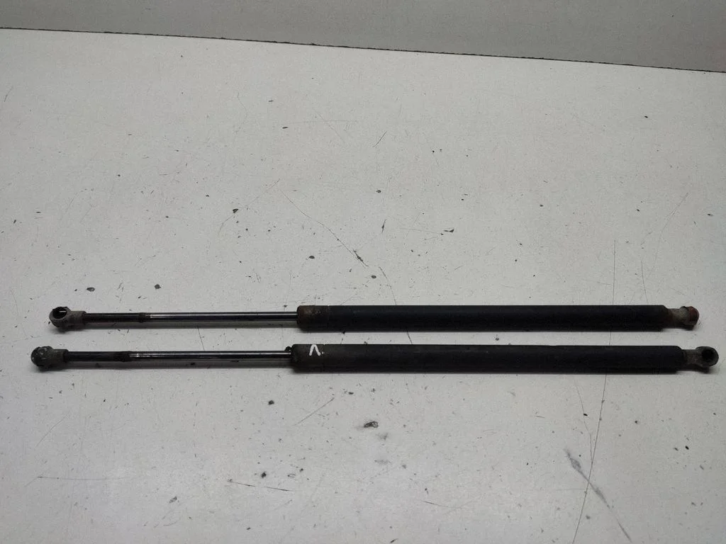 Tailgate/trunk strut/damper 8402405