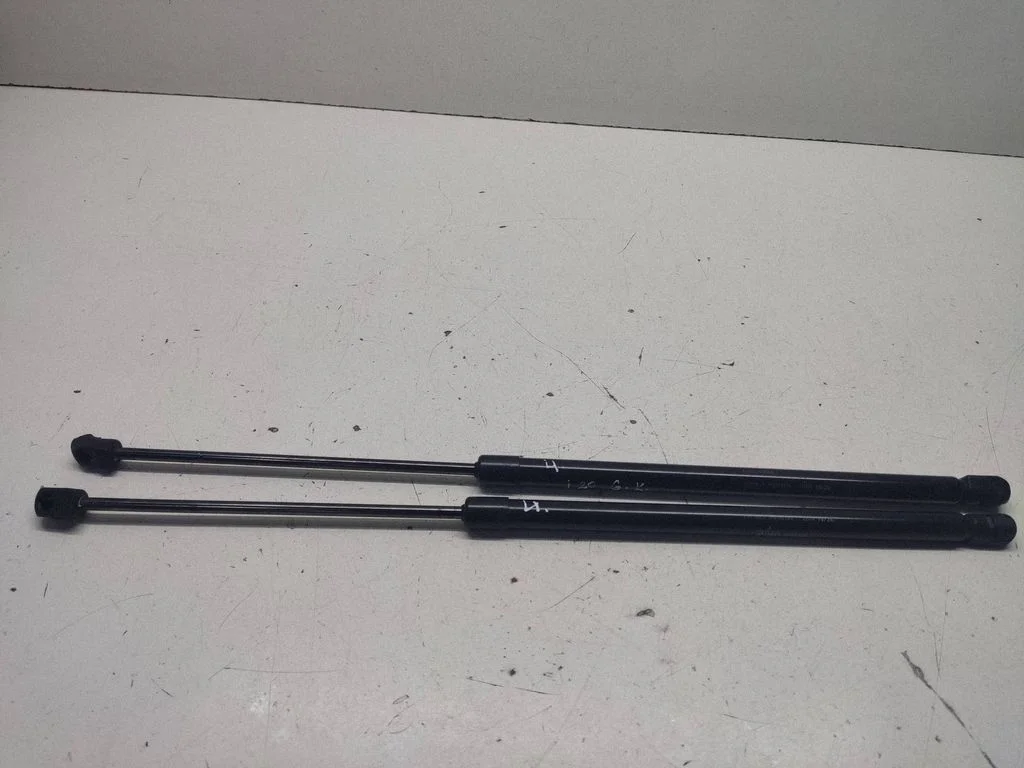 Tailgate/trunk strut/damper 81841Q0000