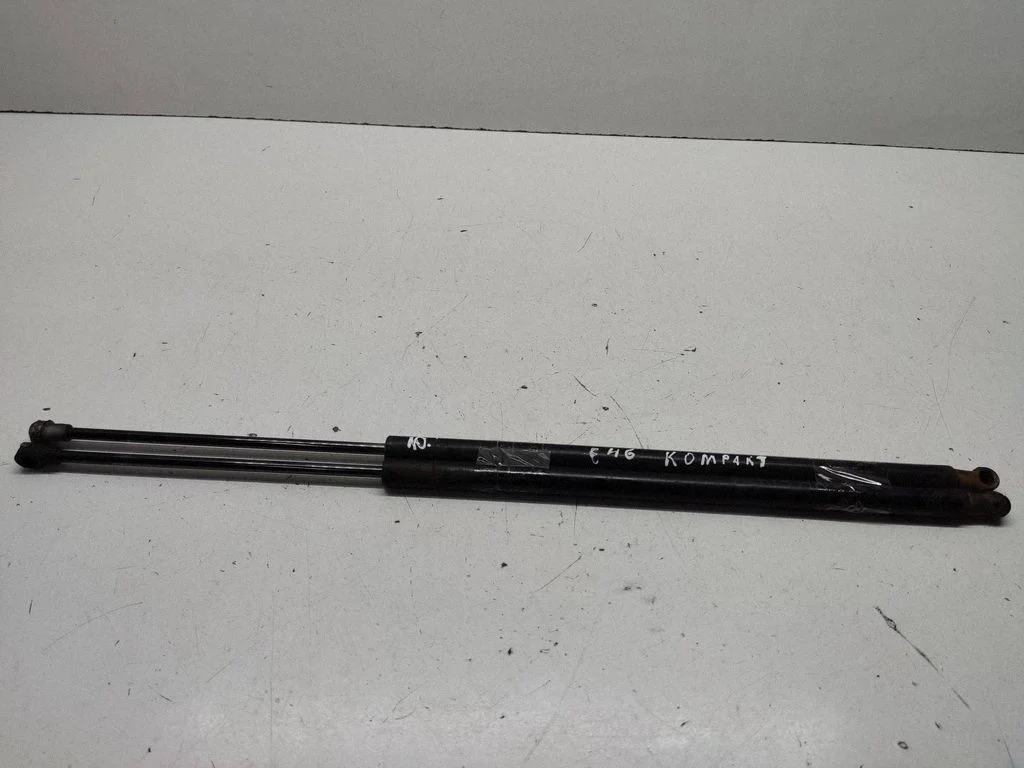 Tailgate/trunk strut/damper 7118885