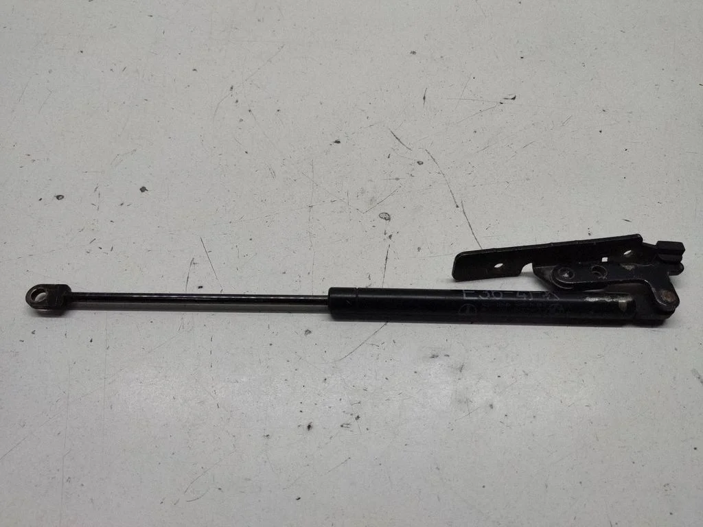 Tailgate/trunk strut/damper 1960852