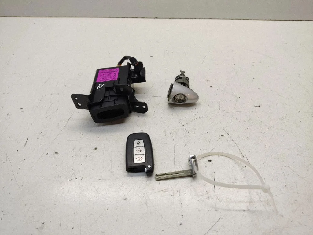 Ignition lock 954902T010