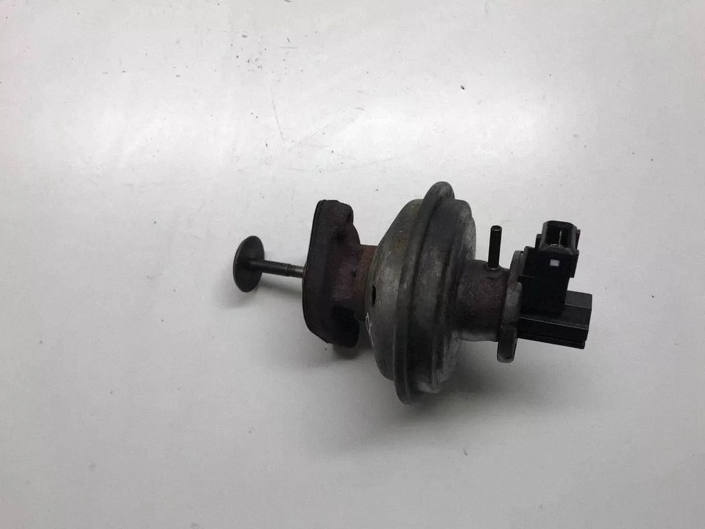 EGR-klapp 7801942
