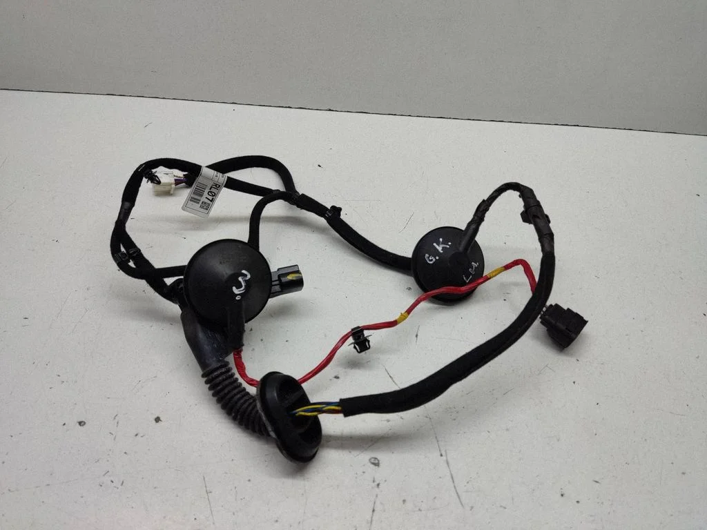 Rear door wiring loom 91620J7070
