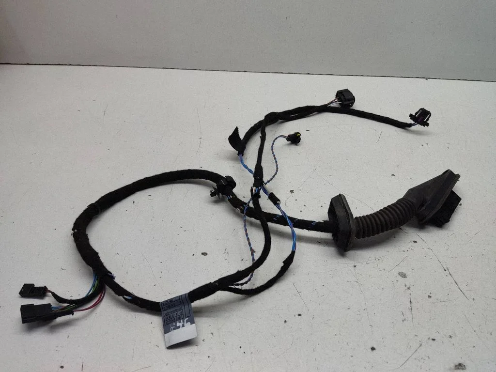 Front door wiring loom 6913079