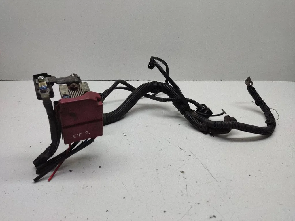 Positive wiring loom – front