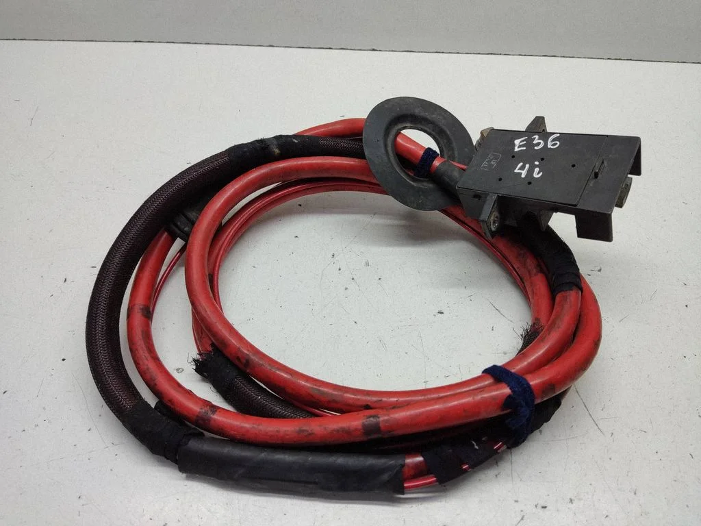 Positive wiring loom 2246443
