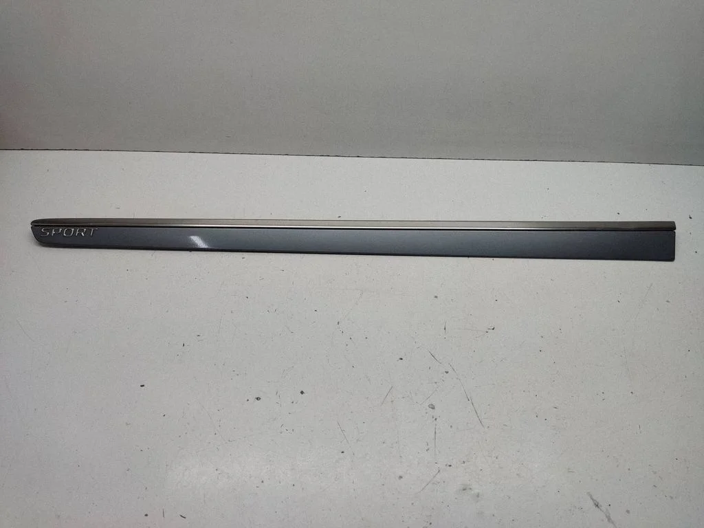 Priekšējo durvju apdare (molings) A1646905162