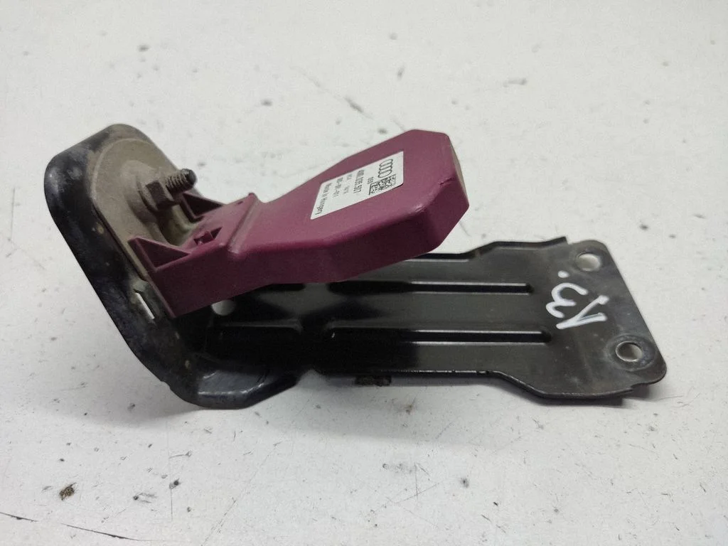 Wzmacniacz antenowy – Audi A3 S3 8V (2013-2019)