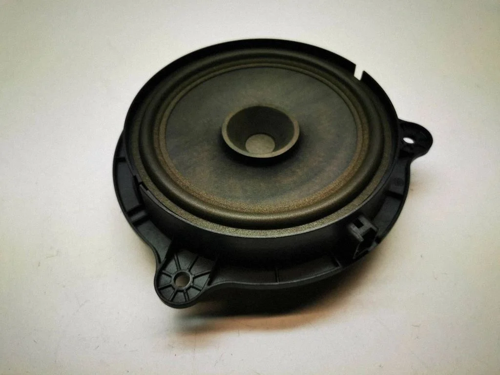 Rear door speaker – Nissan Qashqai+2 (2008-2010)