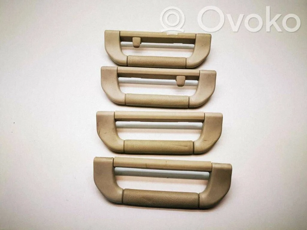 A set of handles for the ceiling 1969983