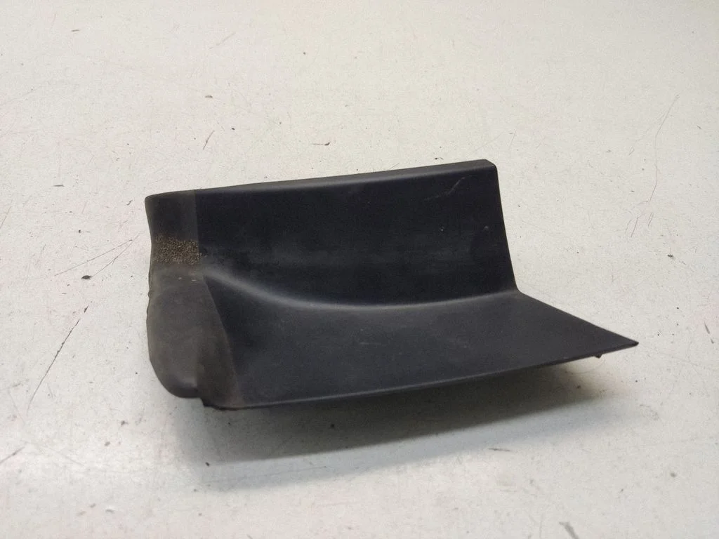 Rear/tail light trim molding 4G9945253