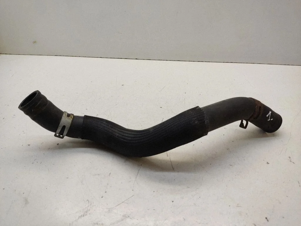 Engine coolant pipe/hose 25411D4400