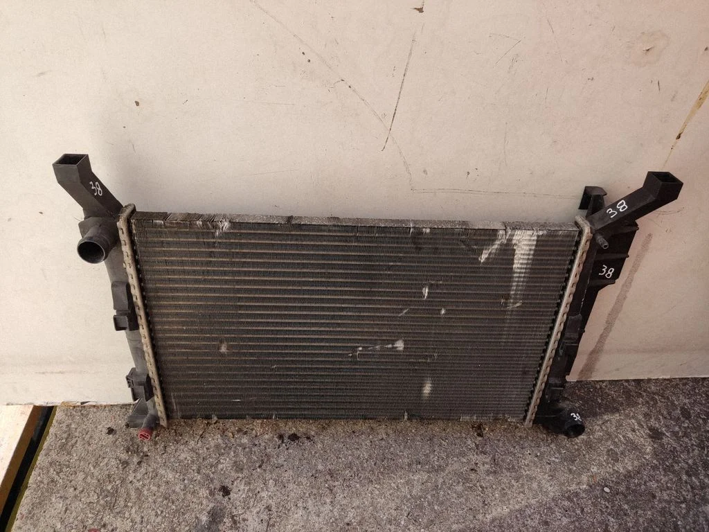 Jahutusvedeliku radiaator A1695000303