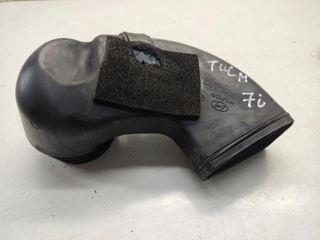 Õhu sisselaske voolik (-ud)/ toru (-d) 282112E200