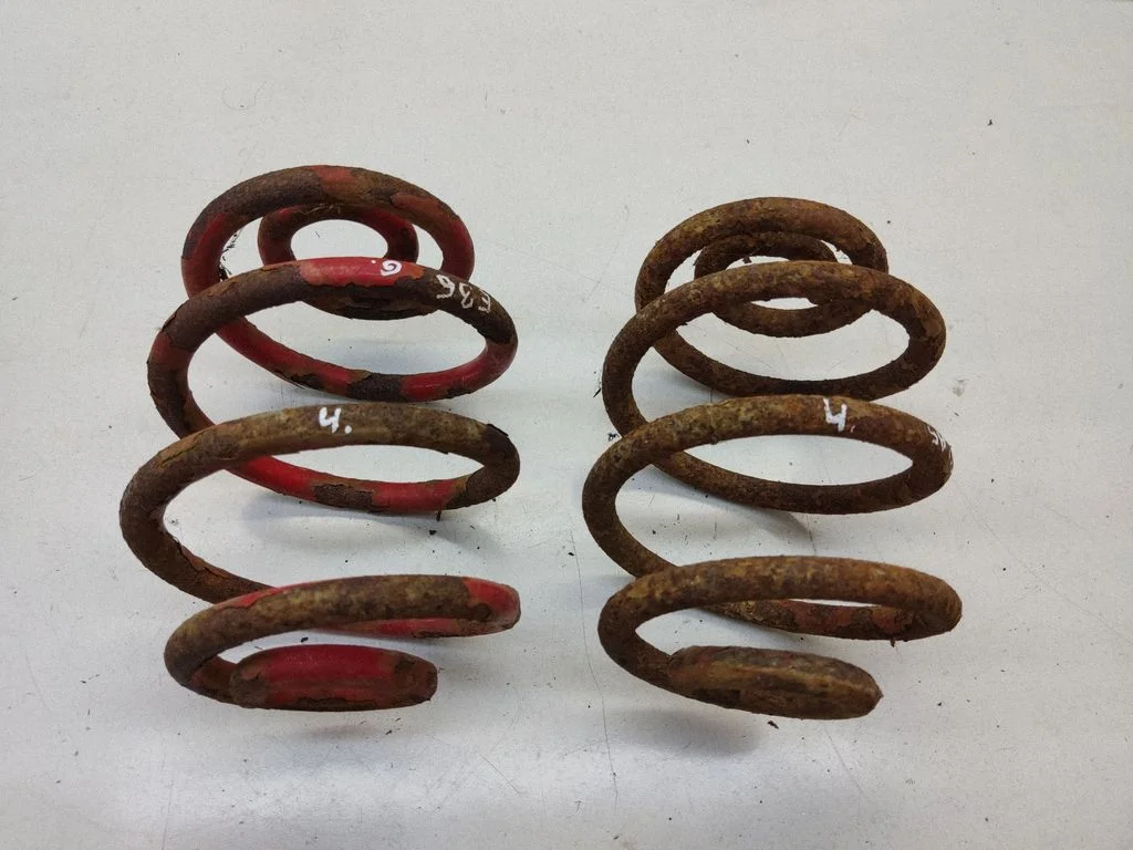 Rear coil spring