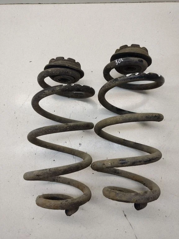 Rear coil spring